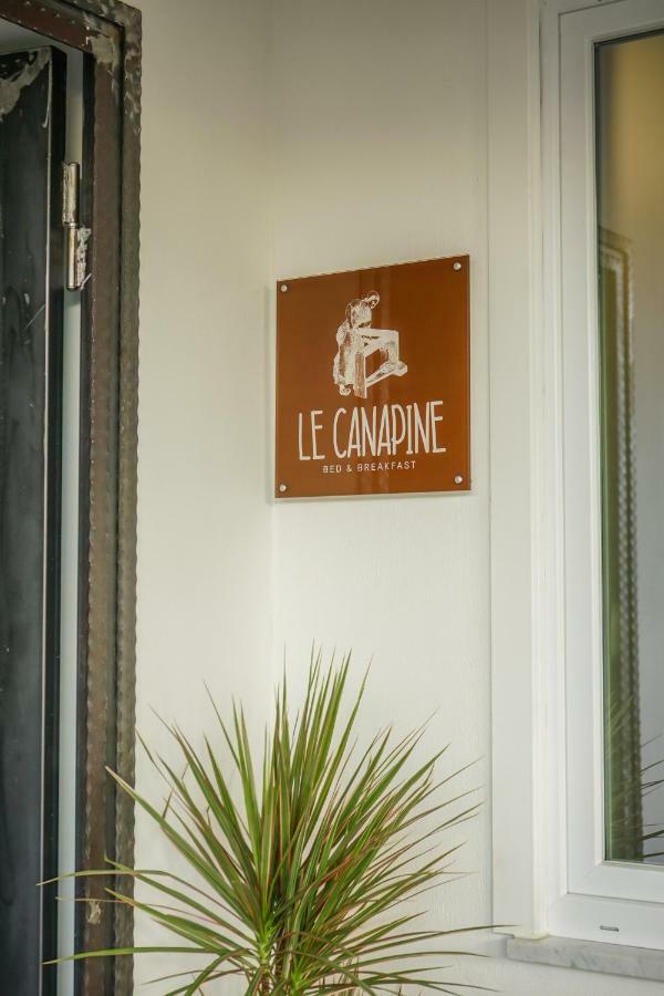 B&B Le Canapine Frattamaggiore Dış mekan fotoğraf